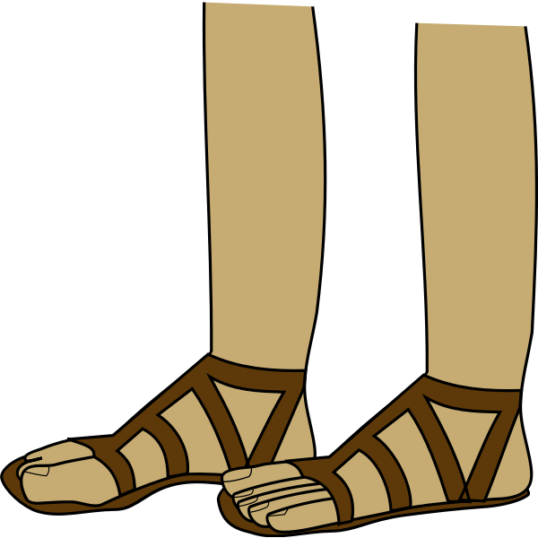 Feet in sandals vector image