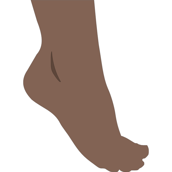 Human foot vector image