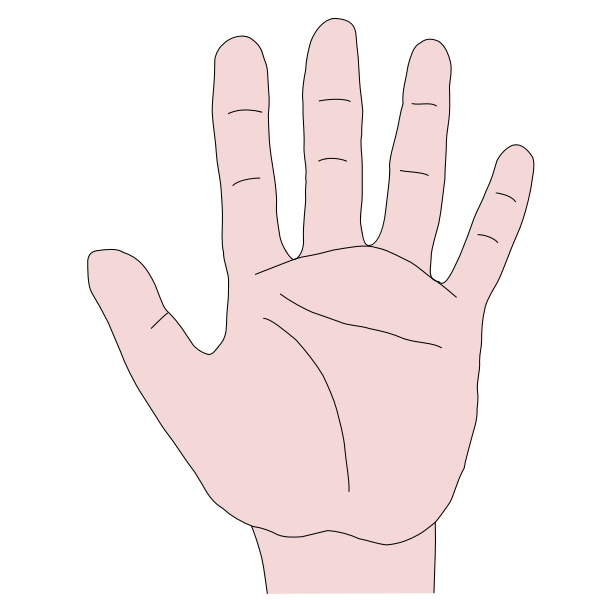 Hand palm