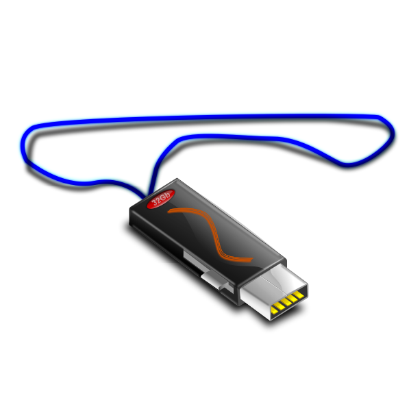 USB stick on cord vector graphics