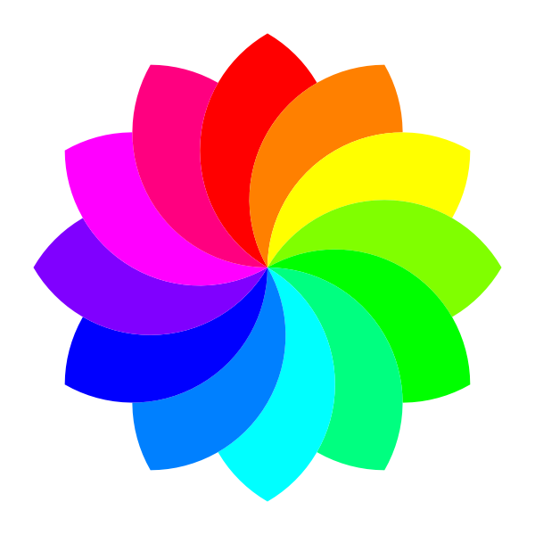 Colorful 12 petal flower vector illustration