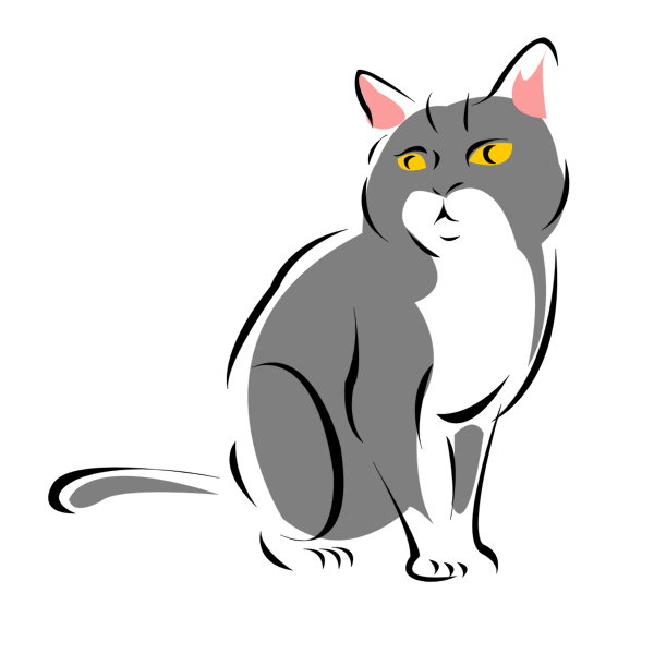 Cat vector drawing