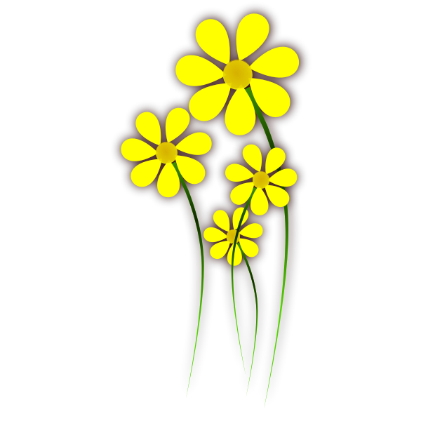 Daisies