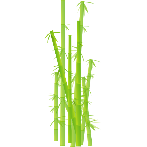 Vector clip art of bamboo stalks