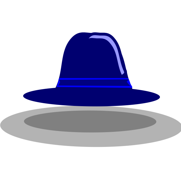 Wide rim hat vector image