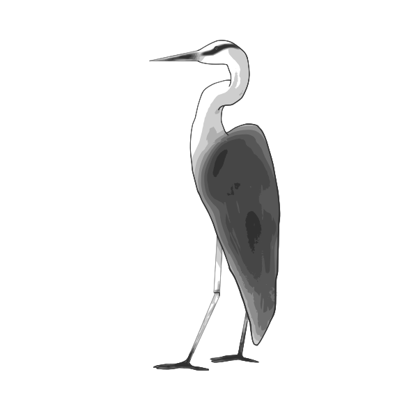 Heron color graphics