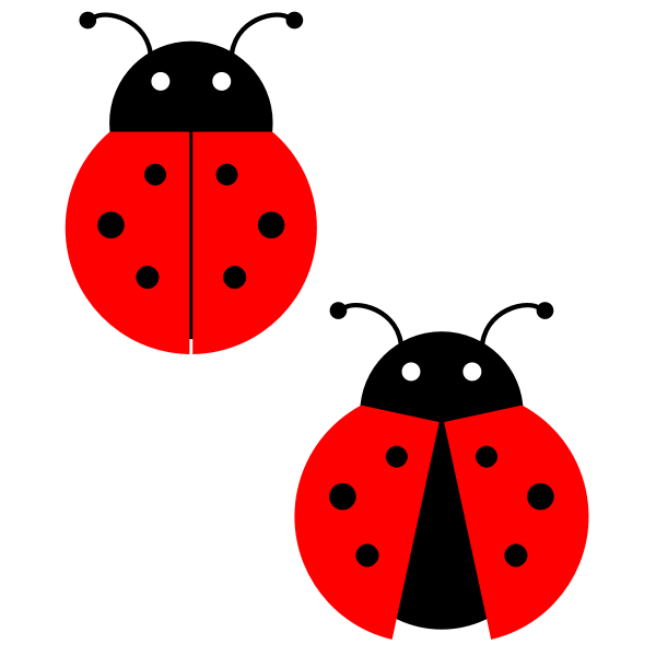 Ladybug