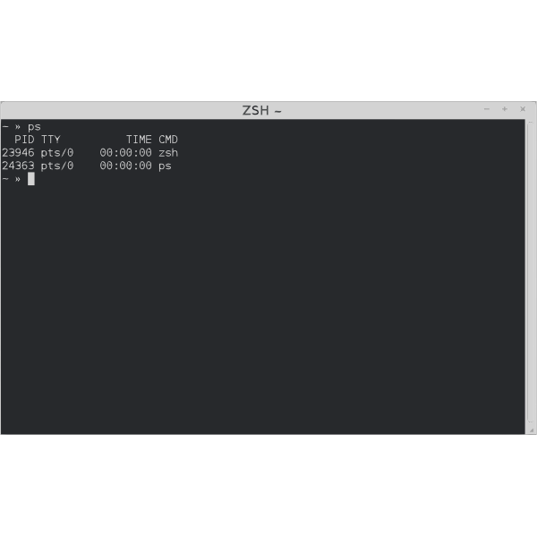 ZSH Terminal