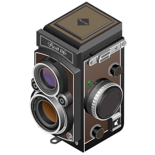 Vector image of twin-lens reflex camera