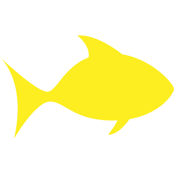 A yellow fish