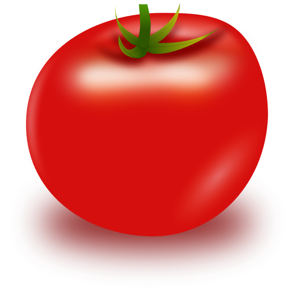 Vector Tomato