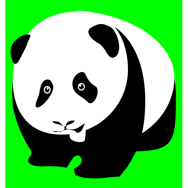 Panda bear