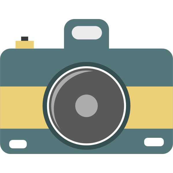 Flat camera icon vector image