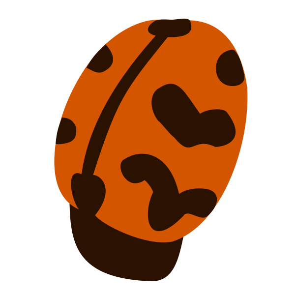 Ladybug