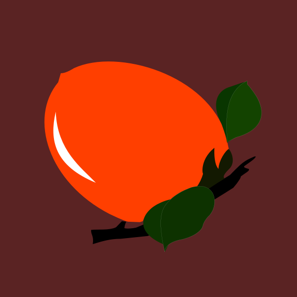 persimmon