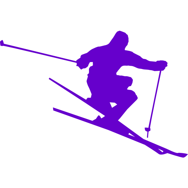 Perfect Ski Form