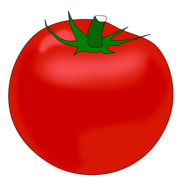 Big tomato