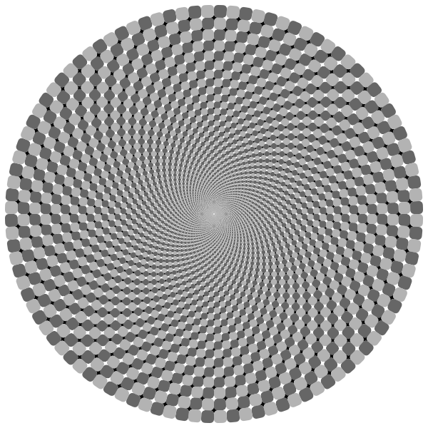 Optical Illusion Vortex