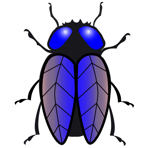 Housefly image