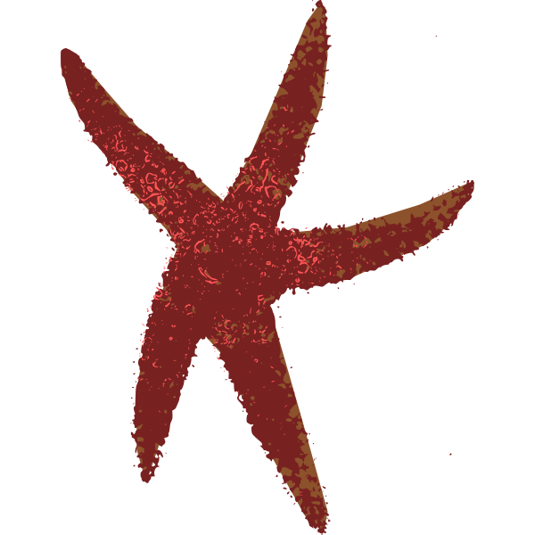 Sea Star