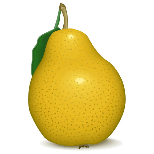 Yellow pear vector image