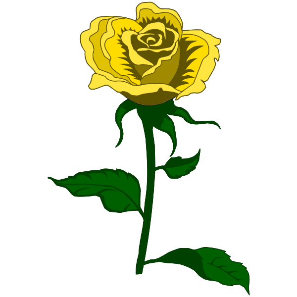 Rose 27 (colour 2)