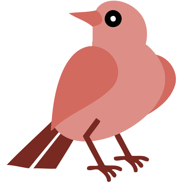 Bird 14