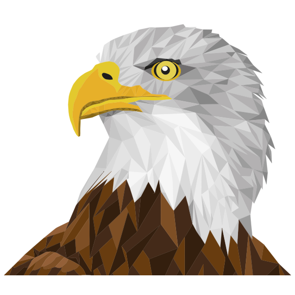 Low Poly Bald Eagle By Sharpi1980