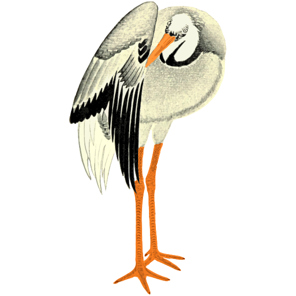 Stork 3