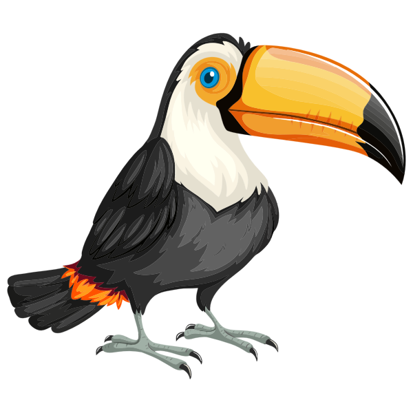 Cute Toucan