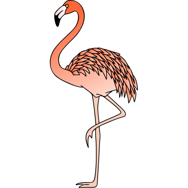 Flamingo 3 (colour)