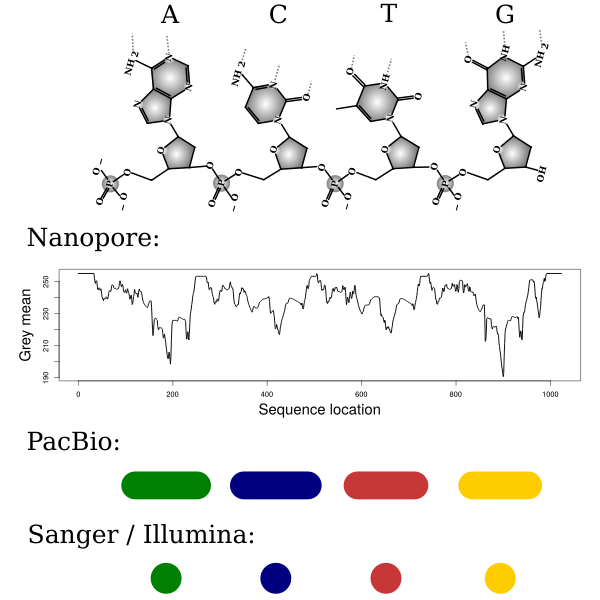 Symbolic DNA Sequencing