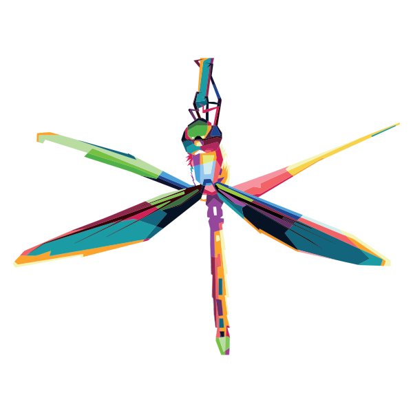 Geometric Dragonfly