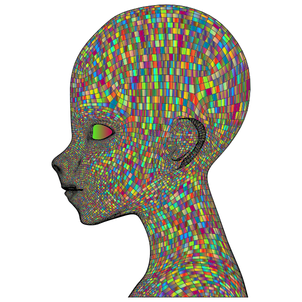 Boy Wireframe Head Polyprismatic