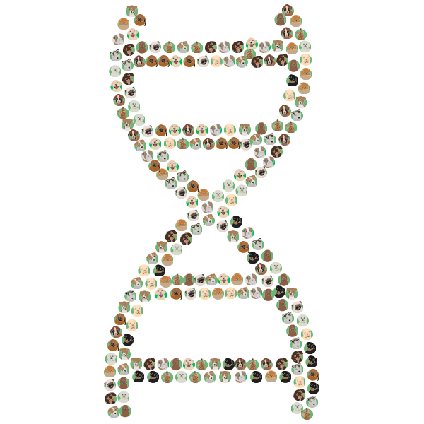 DNA Helix Dog Breeds