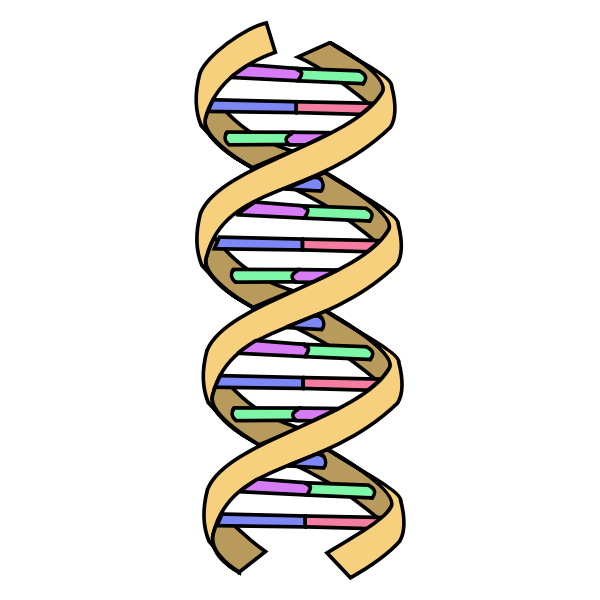 DNA Simple