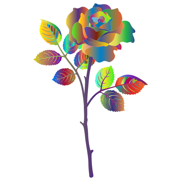 Polyprismatic Rose