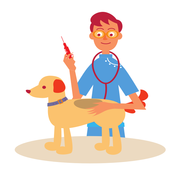 Veterinarianâ€‹ and Dog