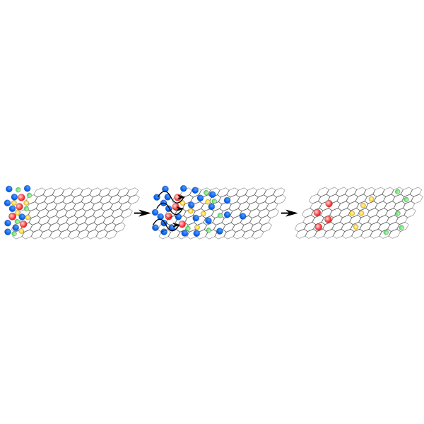 Chromatography im Teilchenmodell