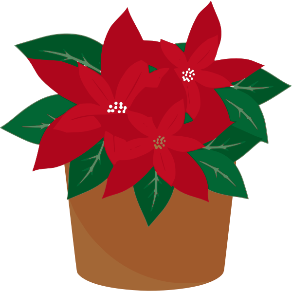 AlanSpeak-Poinsettia