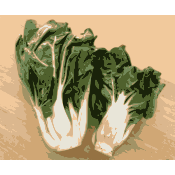 Bok Choy