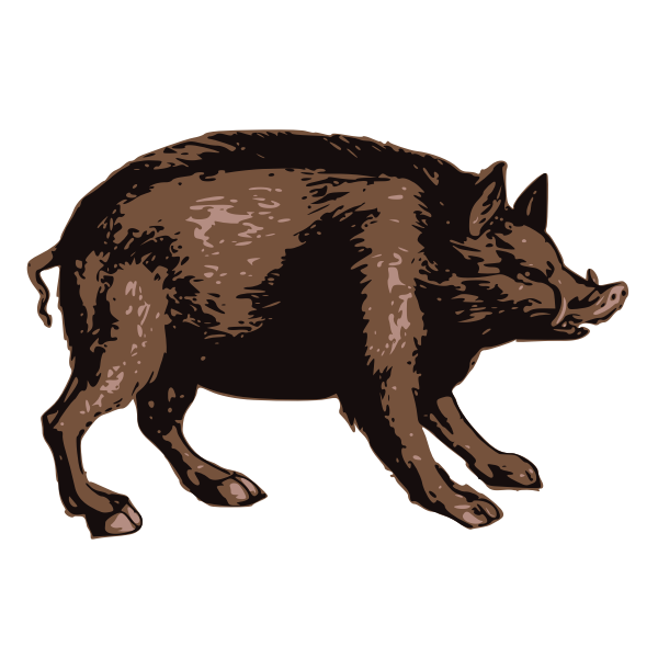 Brown Boar