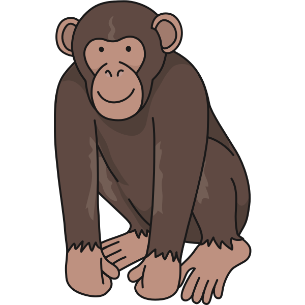 Chimpanzee