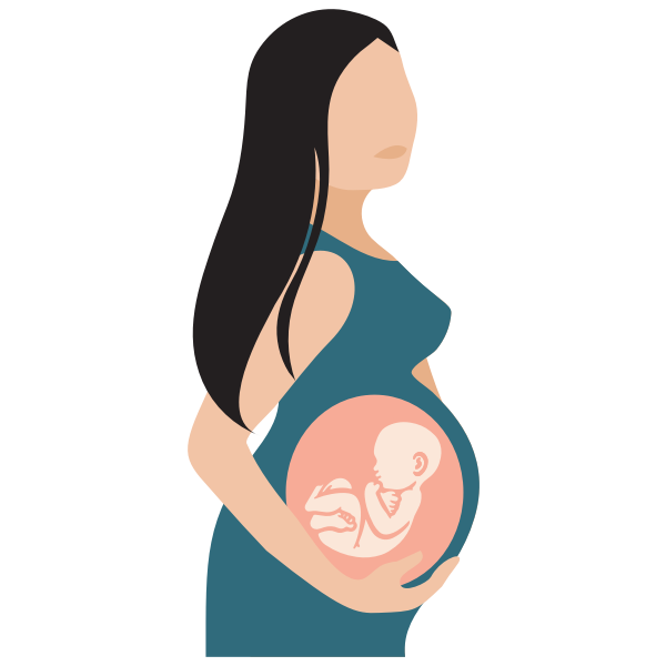 Pregnant Woman With See Through Belly Illustration