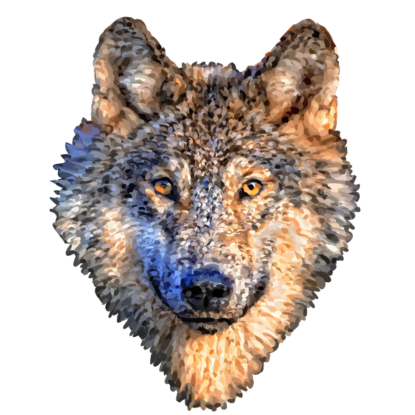 wolf head no bg