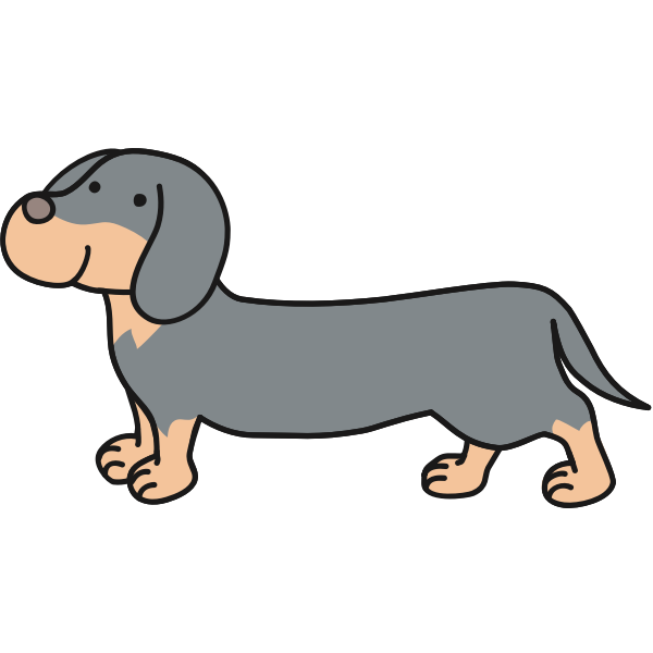 Dachshund