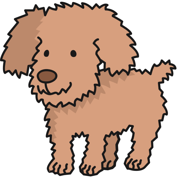 Toy Poodle