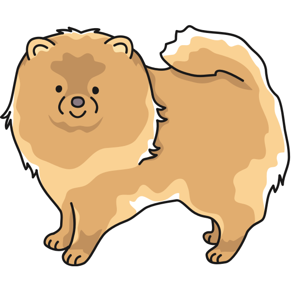 Pomeranian