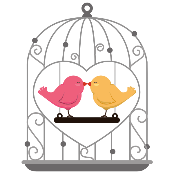 Caged Love Birds By K Malik