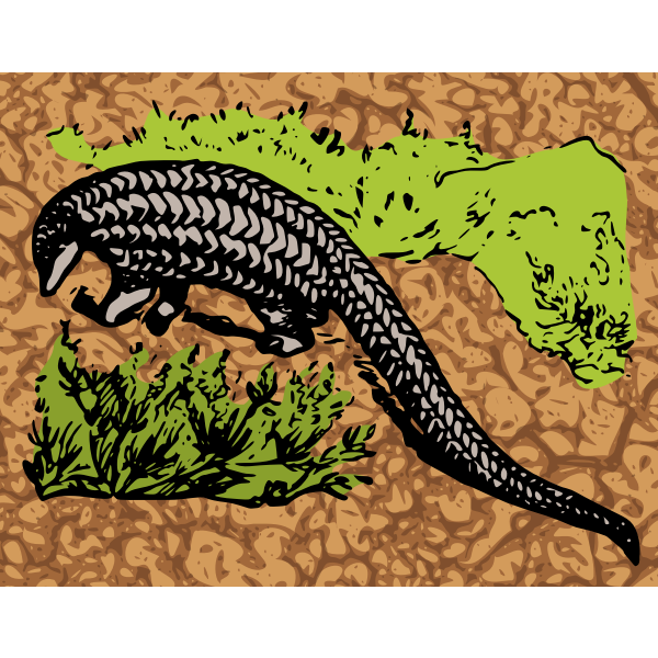 Pangolin